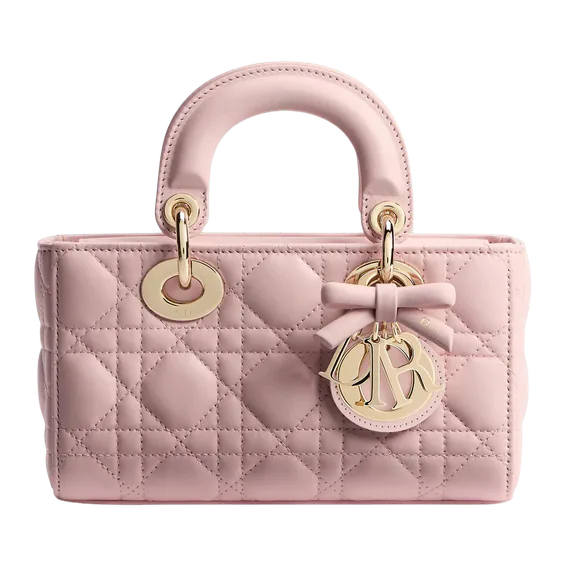 Dior Mini Lady D-Joy Bag