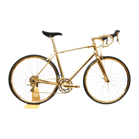 Goldgenie 24k Gold Men's Racing Bike