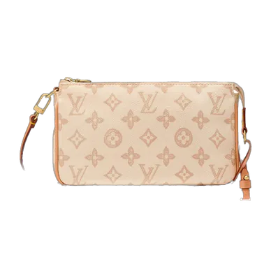 LOUIS VUITTON Pochette Accessoires