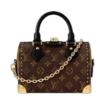 Louis Vuitton Speedy Trunk 20 Monogram Canvas