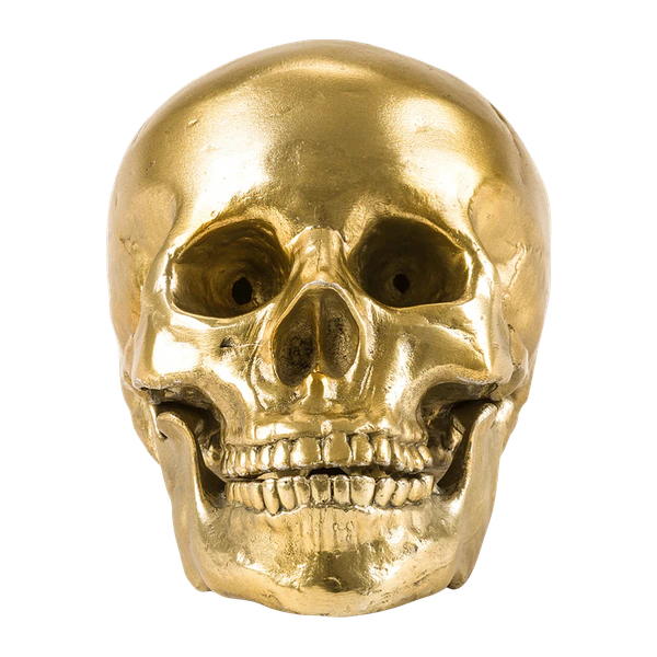 Seletti Wunderkrammer Skull