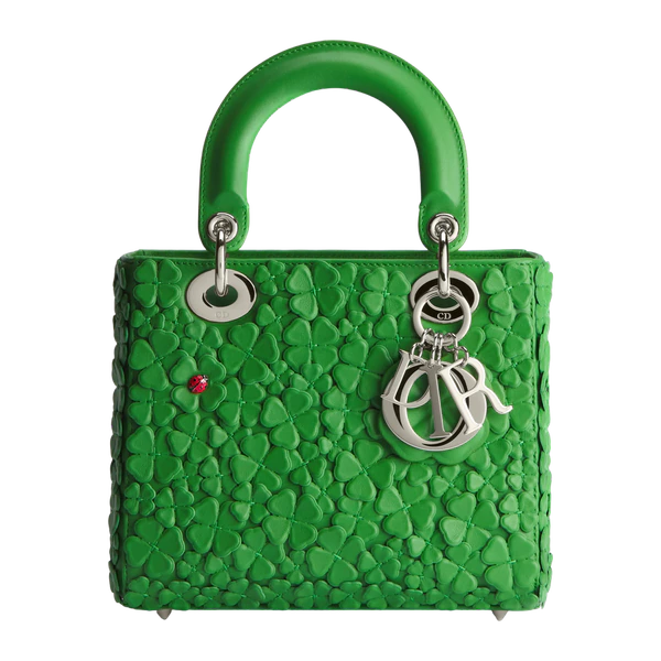 Small Lady Dior Bag with Strap