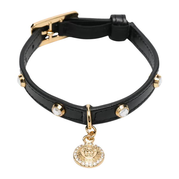 Versace Medusa‑plaque Dog Collar